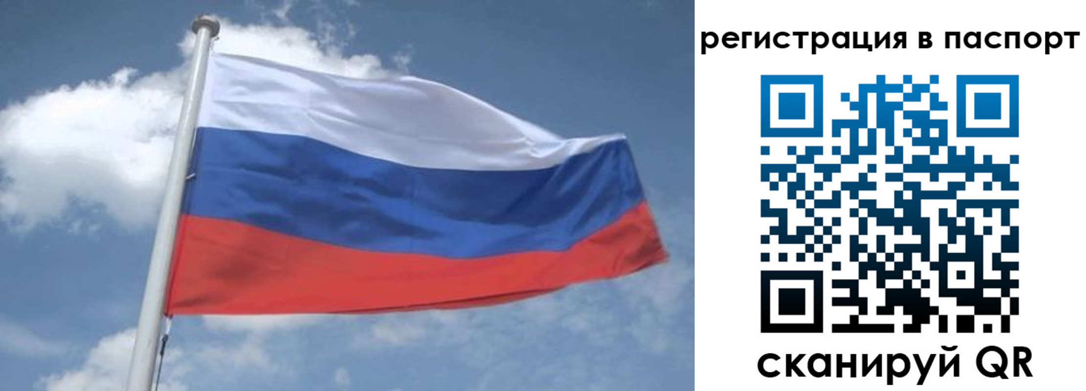 временная регистрация надежно в Пестово